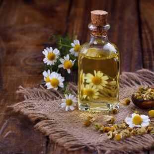 Chamomile oil aromatherapy